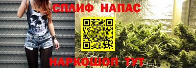 МДПВ Будённовск
