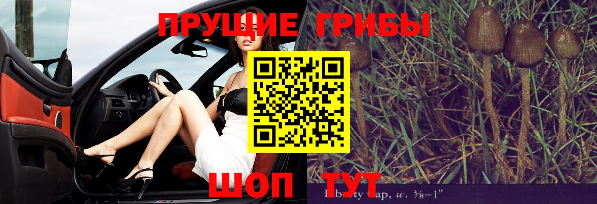 Галлюциногенные грибы Psilocybe  Вход с VPN  наркошоп  Сарапул  Галлюциногенные грибы Cubensis 